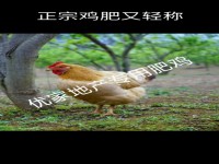 城南富人区 中兴华府