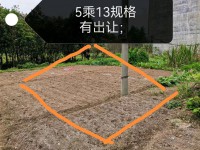 河西地皮 大安 5×13 前24米路 后 河西地皮