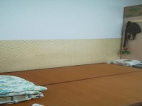 其它图