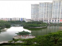其它图