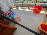 其它图