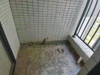 其它图