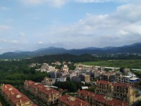 其它图