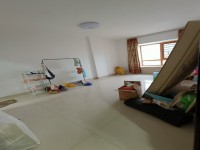 其它图