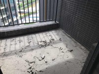 其它图