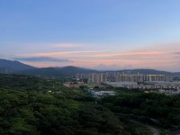 其它图