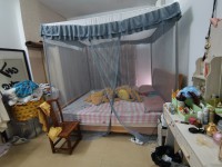 其它图