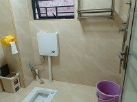 其它图