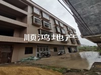 0首付买6小学位私宅 河西6小
