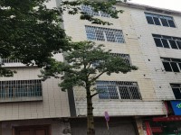 其它图