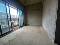其它图