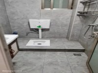 其它图