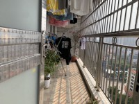 其它图