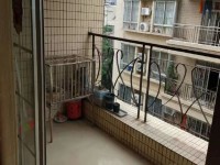 其它图