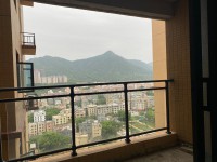 其它图