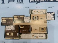 其它图