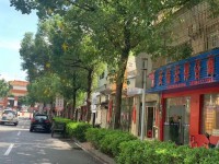 市中心商5.57乘6.53 两层半  前 市中心私宅