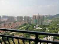 其它图