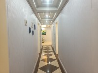 其它图
