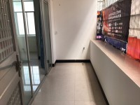 河西市场附近两房一厅全新装修仅800元月 河西私宅（康富花园后