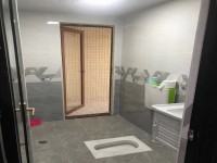 其它图