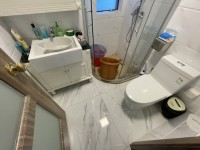 其它图