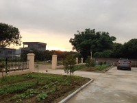其它图