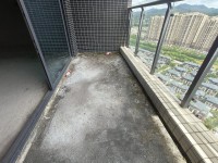其它图