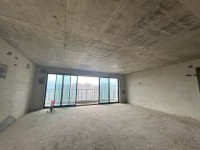 国鼎大平层238方南北通透户型 国鼎中央公园