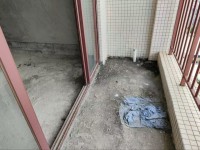 其它图