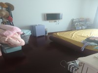 其它图