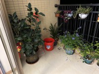 其它图