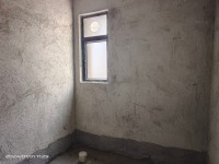 河西名树公园旁边电梯靓房，南向，无敌视野 绵登广场