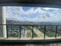 其它图