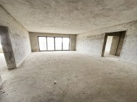 电梯江景房，可装修卖可毛坯，装修卖66. 金河湾