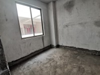 河西名树公园附近电梯三房单价3900 新晖雅苑