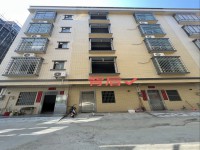河西靓私宅占地5乘12  前9后10米 河西私宅