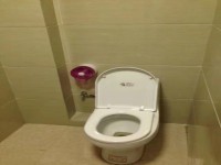 其它图