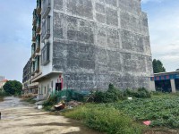 河西私宅 占地4.83X15 前16米后 河西私宅