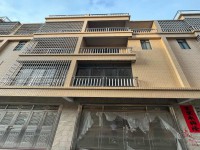 河西私宅 5X12 四层八南向 前后8米 河西私宅