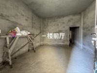 河西私宅 规格5×12 建4层8 前9米 河西私宅