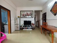 步梯笋盘，赶紧看过来手快有，户型实用光线 龙园商住楼