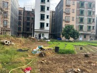 河西地皮 6.667X15占地前后9米路 河西地皮
