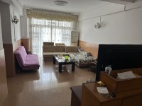 复式 精致4室2厅3卫2阳台，小户型，大 泰和苑商住楼