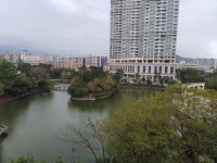 其它图