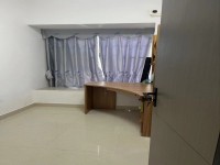 其它图