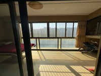 其它图
