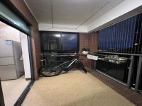 其它图