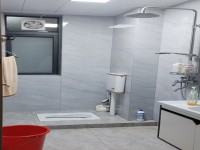 其它图