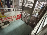 其它图